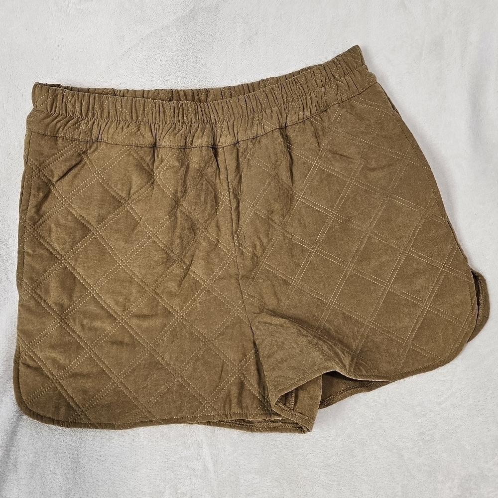 NWT✨️Gianni Bini Size Medium Quilted Shorts